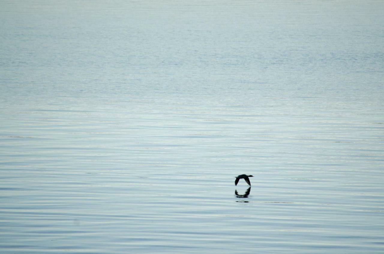 Strandstuga Tämta Exteriör bild